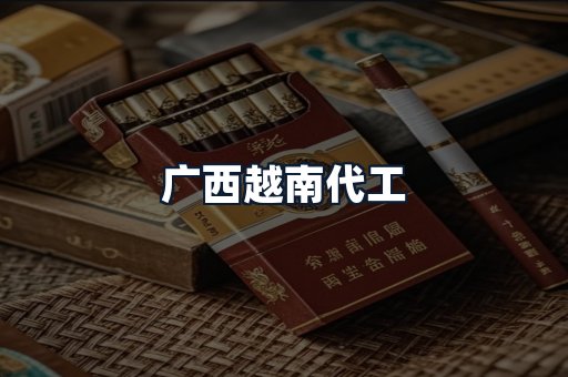 广西越南代工